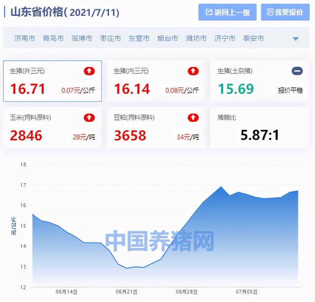 山东省生猪价格涨跌表｜2021年7月11日，青岛、济宁开始下跌
