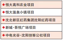 刚刚，沈阳公布最新10区2县1市大项目排名！这个区大赚一笔