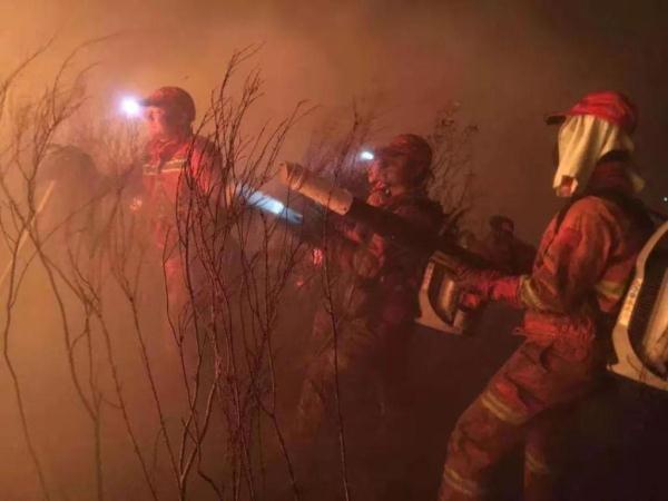 高莞镇西南村“12·5”森林火灾案成功破获，3人被刑拘