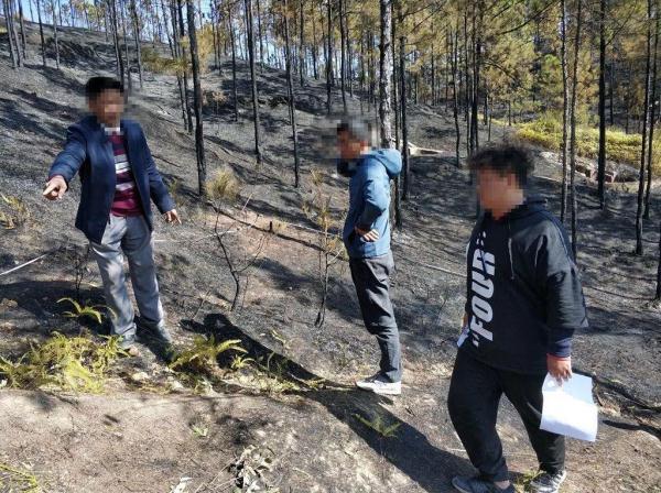 高莞镇西南村“12·5”森林火灾案成功破获，3人被刑拘