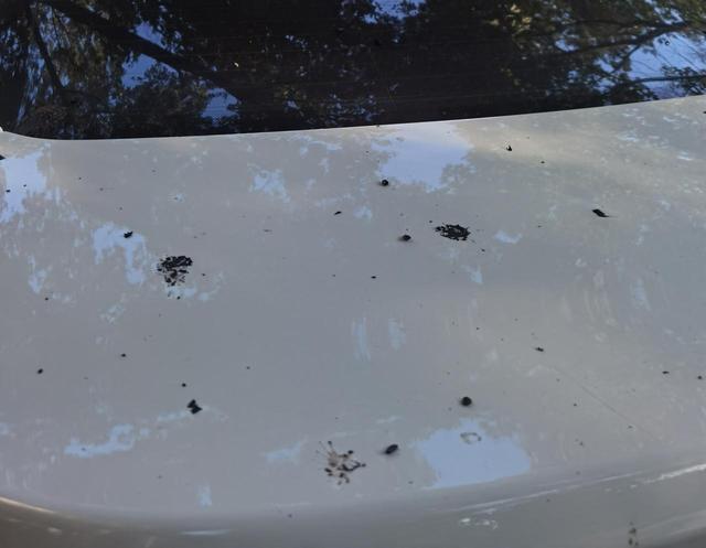 @金华车主 最近，你的车上是不是有很多黑色斑点？它的“真实身份”让人意外……