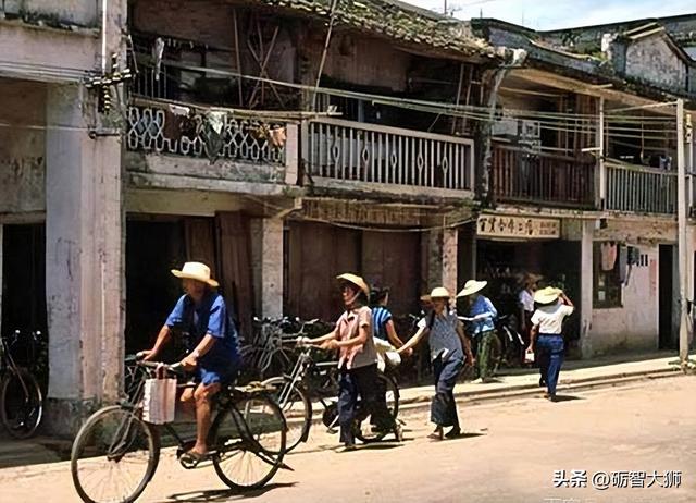 六十年代深圳老照片：街头上只有一辆小型汽车，不时还有牛群穿过