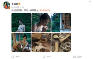 杭州釆茶美女(王丽坤化身采茶小妹，大秀天鹅颈气质出尘，37岁的姐姐依旧是氧气美女)