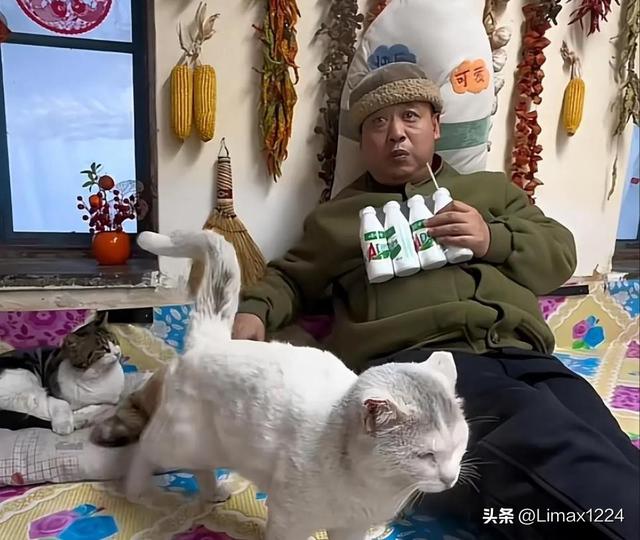 东北雨姐掉粉90万,“虚伪面具”彻底被撕开,退网是她唯一选择