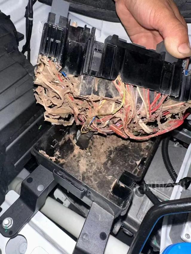 广西一男子送老婆新车,三天车灯就不亮了……
