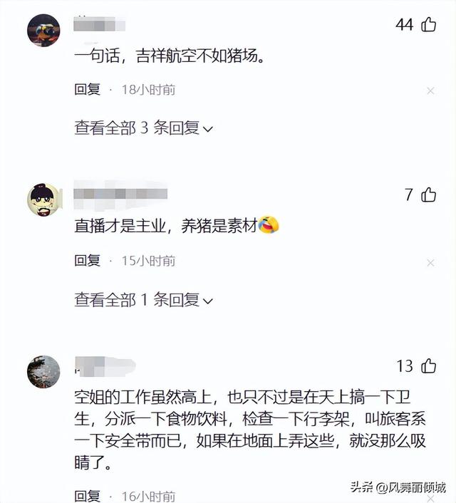 从天上到地上,“空姐变身养猪女王”:人被腌入味了,钱却赚麻了