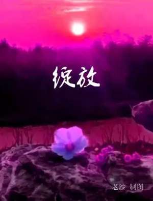 7160美女图片照片(股市早8点丨可喜金叉美女涨势如虹莫忘已有三个上跳缺口)