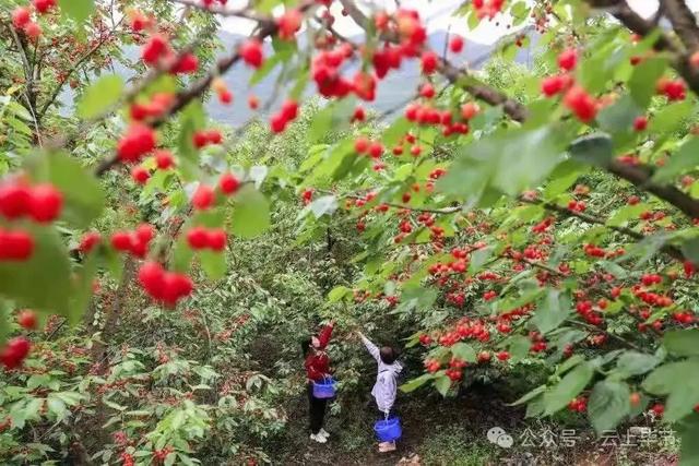 毕节“五一”优惠攻略来了！
