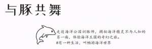 美女训海豹(与豚共舞的人：海豚是怎样学会高难度动作表演的？)