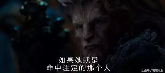 长大后的「哈利波特」女主竟然爱上一只野兽，这部大片很梦幻！