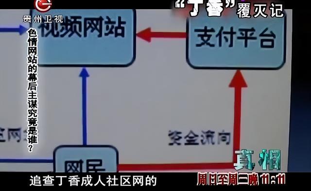 色情网站“丁香”覆灭记:7.3亿的浏览量背后,是谁在操控盈利?
