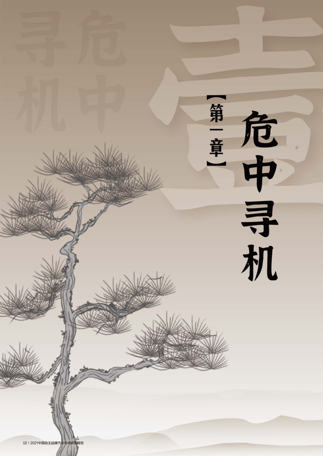 2021中国自主品牌汽车市场研究报告PPT曝光!网友:设计堪称大牌