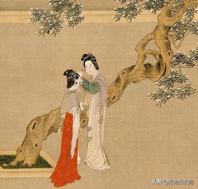 古代嫔妃为何总戴长指甲套?除了美观之外,更多的是为了方便皇帝
