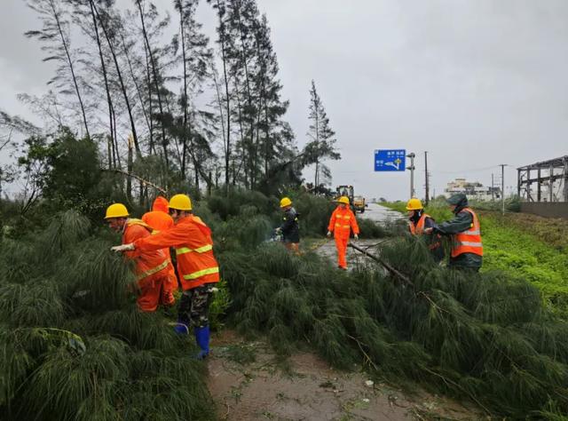 湛江客运班车、公交、机场恢复营运!风还没停,他们逆风而行!