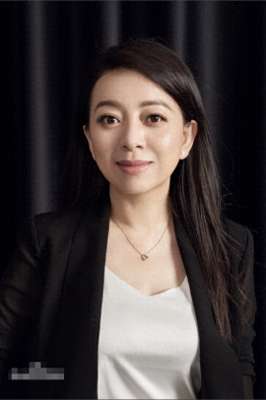 美女挣到钱(广东美女富豪陈丹霞：22岁出国创业，4年狂赚55亿，如今身价145亿)