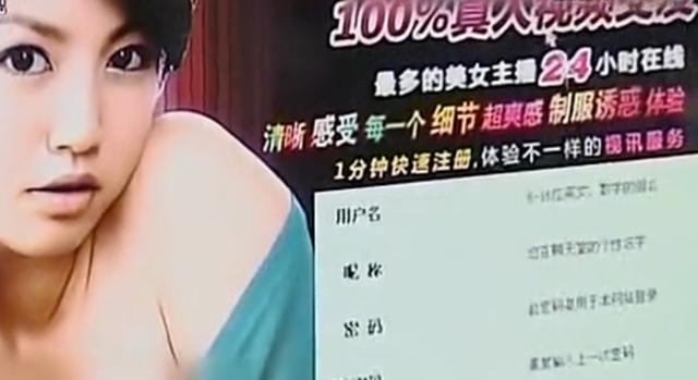 色情网站“丁香”覆灭记:7.3亿的浏览量背后,是谁在操控盈利?