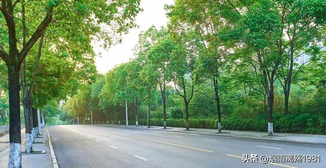 “莆田市母子”告倒三菱集团:一个痛失丈夫的普通中国女人