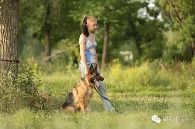 俄罗斯小美女 Victoria 与爱犬MORRIGAN 新照