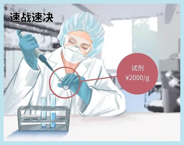北京优秀女子图鉴