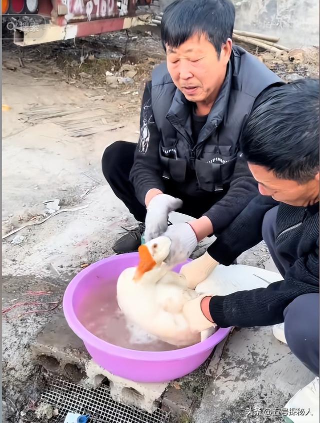 牛人!博主卡车拉火车自驾游,15万将火车爆改豪华房车,网友炸锅