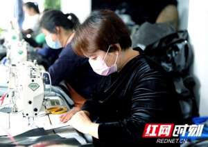 美女刘二美(隆回有个困难压不倒的“女汉子”带领32名贫困户奔富路)
