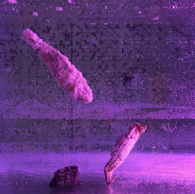 95后美女艺术家用安全套做了一条裙子