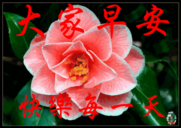 6月1日问候大家早上好动图表情美女2020 清晨祝福早上好问候语