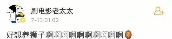 她跑去非洲养狮子,却成了她一生的噩梦:现实版狮子王,比电影残酷一万倍