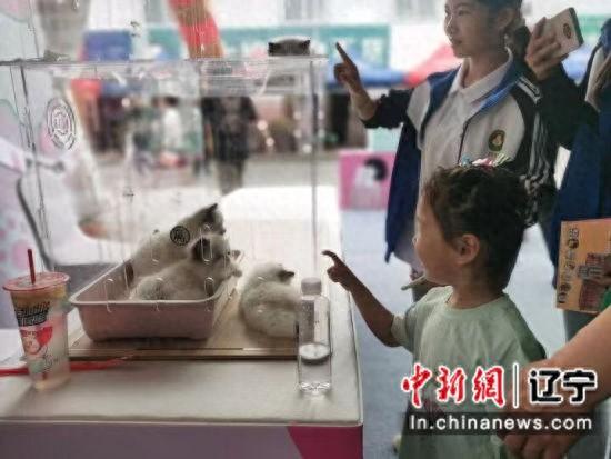 小宠物成大产业 鞍山宠物交易大会成交额近千万元