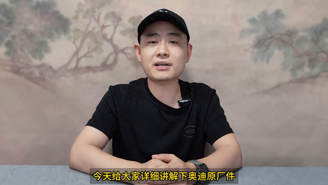 原厂汽车配件竟然也分三六九等?奥迪原厂配件详解来了!#...