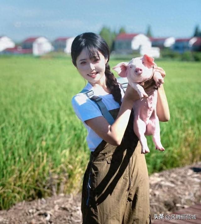 从天上到地上,“空姐变身养猪女王”:人被腌入味了,钱却赚麻了