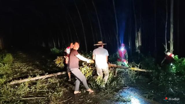 湛江客运班车、公交、机场恢复营运!风还没停,他们逆风而行!