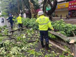 湛江霞山汽车客运总站(湛江客运班车、公交、机场恢复营运风还没停，他们逆风而行)