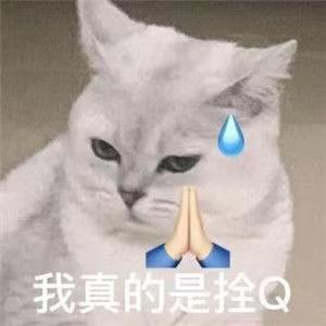 车内异味从哪里来?蜀黍教你几招去异味