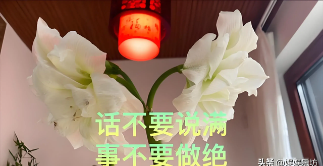 太炸裂~曝财经女网红，扬言A股破不了3000点，结果直播不雅操作