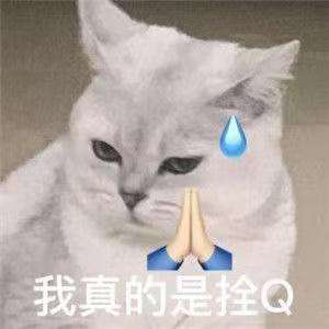 汽车有异味(车内异味从哪里来？蜀黍教你几招去异味)