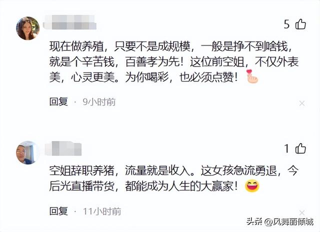 从天上到地上,“空姐变身养猪女王”:人被腌入味了,钱却赚麻了