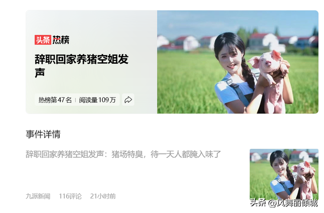 从天上到地上,“空姐变身养猪女王”:人被腌入味了,钱却赚麻了