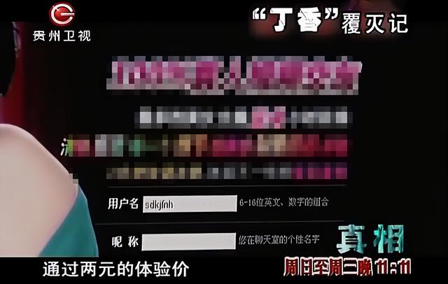 色情网站“丁香”覆灭记:7.3亿的浏览量背后,是谁在操控盈利?
