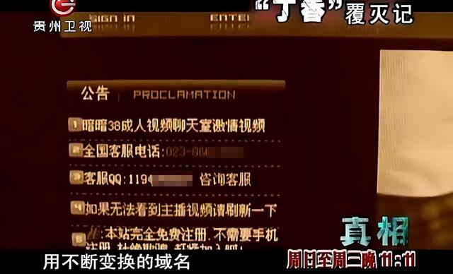 色情网站“丁香”覆灭记:7.3亿的浏览量背后,是谁在操控盈利?