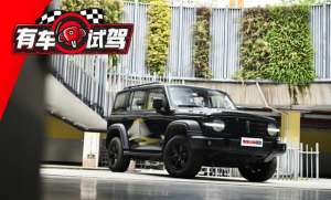 委派汽车(舒适性超强、油耗偏高、刹车不给力，全面测试WEY坦克300)