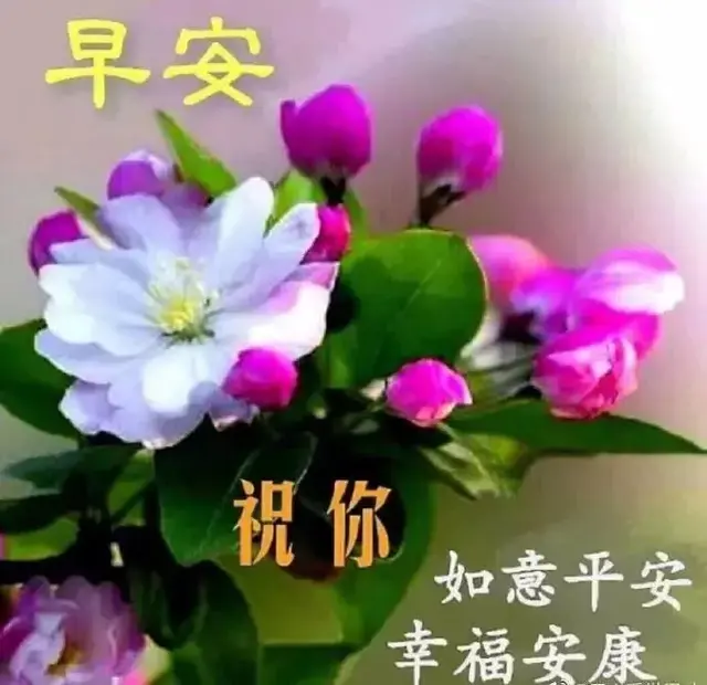 6月1日问候大家早上好动图表情美女2020 清晨祝福早上好问候语