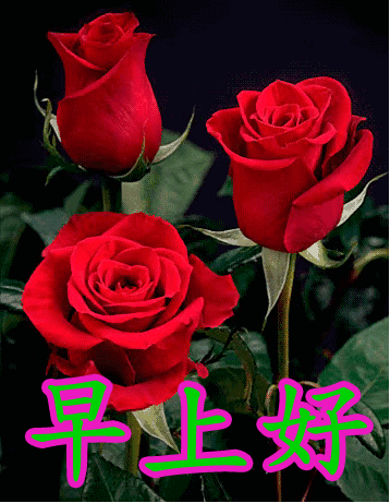 6月1日问候大家早上好动图表情美女2020 清晨祝福早上好问候语