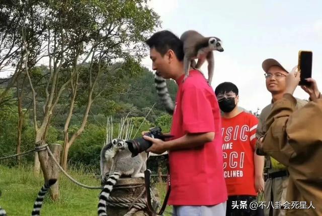 王思聪带4名美女逛动物园,听话为女友跪地拍照,慎婕要转正了?