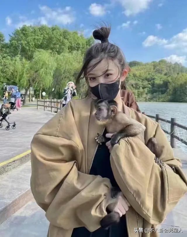 王思聪带4名美女逛动物园,听话为女友跪地拍照,慎婕要转正了?