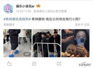 美女调教狗(希林娜依高当众“拖行”小狗，粗暴方式被审判，出门带狗不方便)