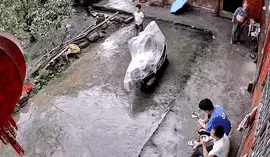周冬雨脱了!上半身全裸“手也不遮”,破尺度大片引热议