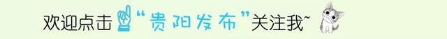 所有人 贵阳往返各市州县的定制班车来了，市区就可以乘坐