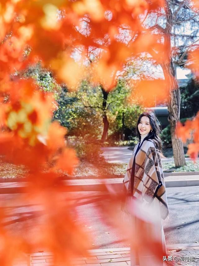 又是一年红叶季,人像照片拍高级,唯美浪漫有气质
