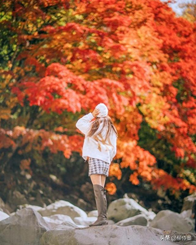 又是一年红叶季,人像照片拍高级,唯美浪漫有气质